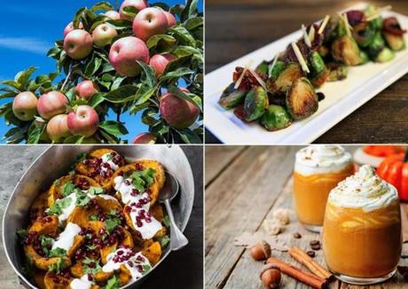 These foods (clockwise from top left) should be on your list of New England fall must-haves: apples, Brussels sprouts, anything with pumpkin spice such as these lattes, and butternut squash (shown here with yogurt and pomegranate).
